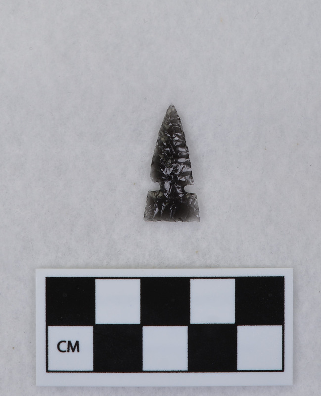 Side notched, similar to Desert side notched