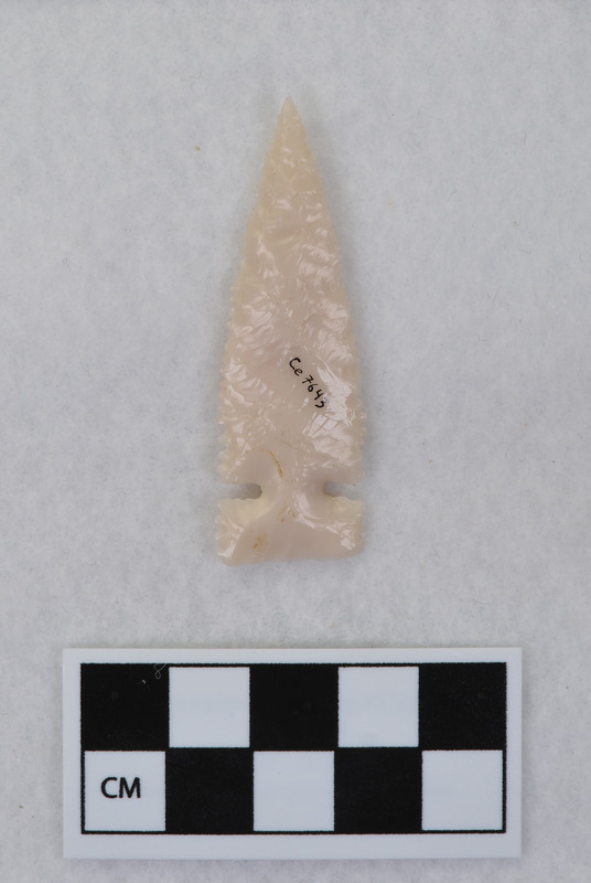 Serrated, side notched