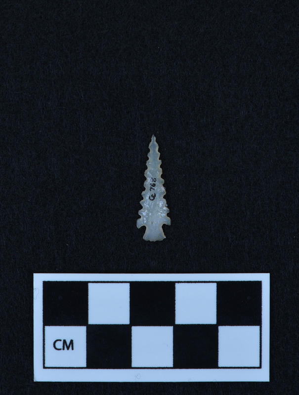 Serrated, corner notched