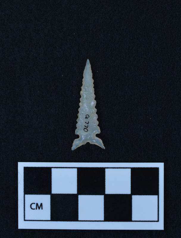 Serrated, side notched