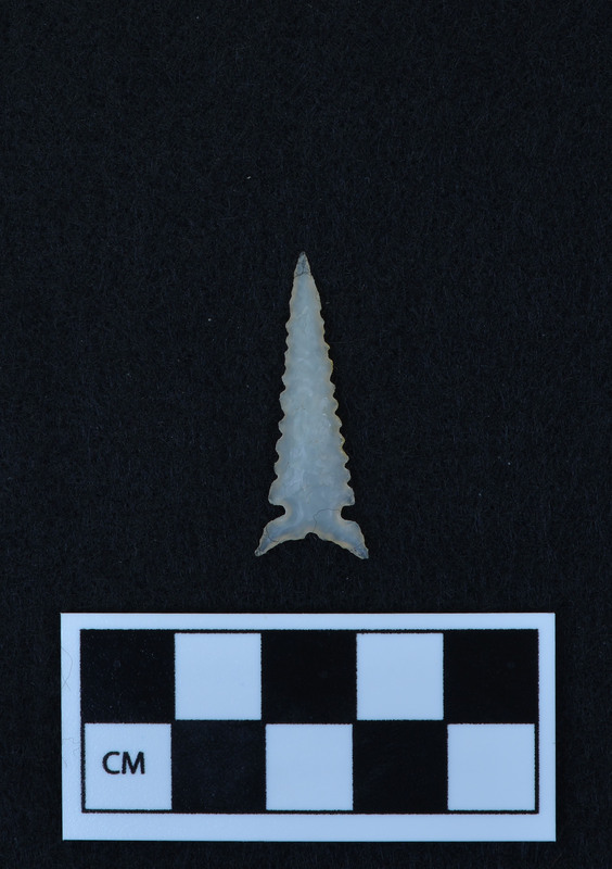 Serrated, side notched