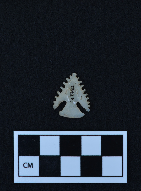 Serrated, corner notched