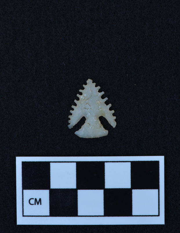 Serrated, corner notched