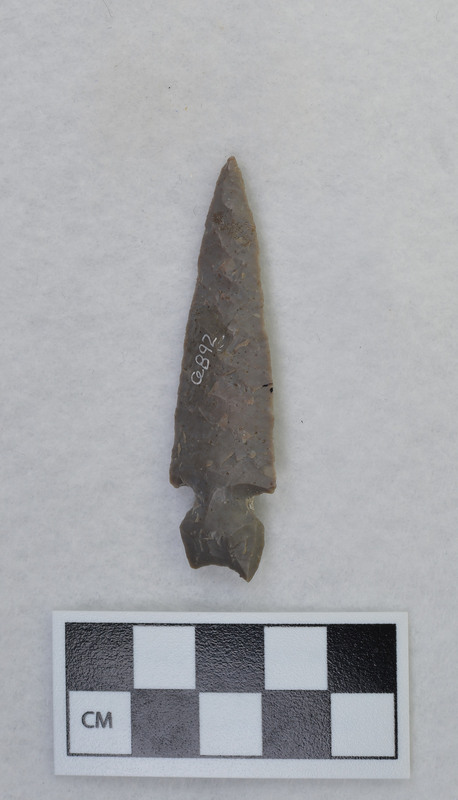 Side notched, basal edges burinated above notches