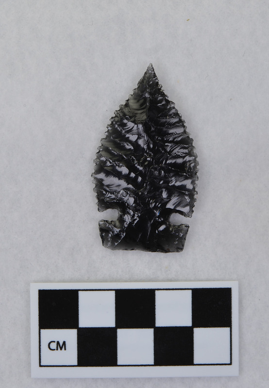 Side notched, serrated