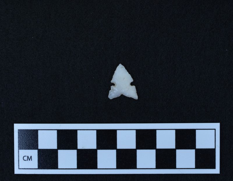 Similar to Desert side notched