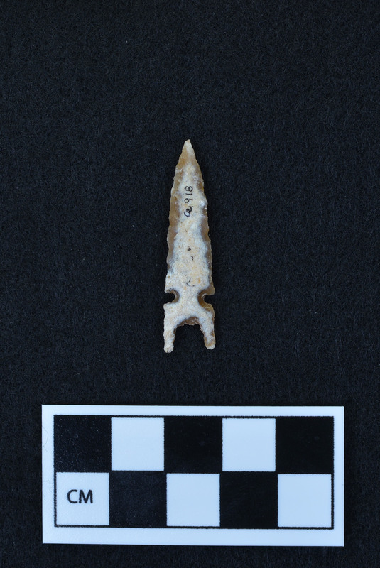 Side notched, bifurcated base