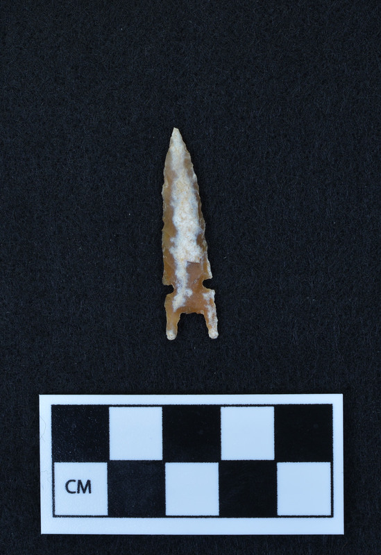 Side notched, bifurcated base