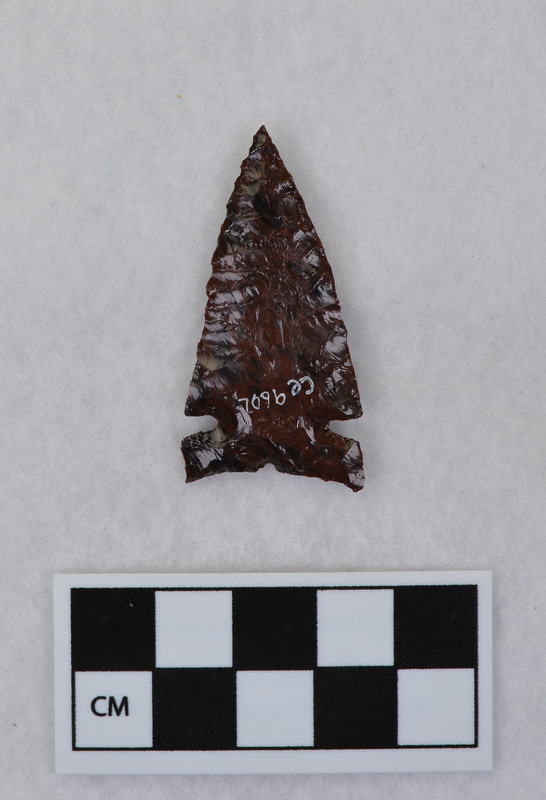 Side notched, made on a flake, Titmus technique Extremely fine parallel flaking. (GT)