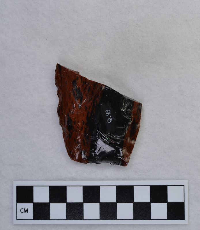 End shock fracture, mends w/Ce.99