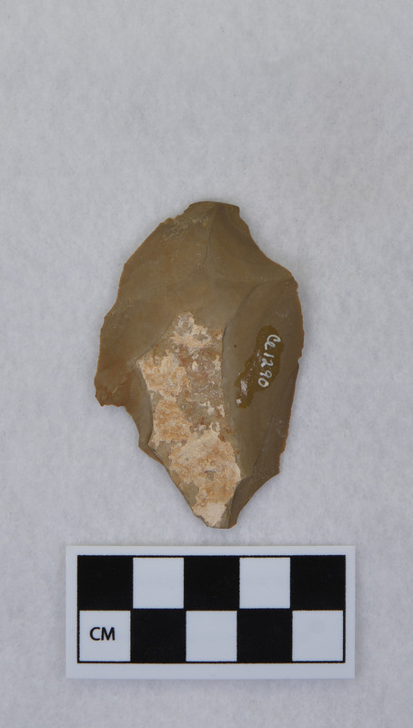 Thinning, from Ce.1289