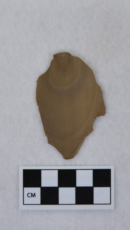 Thinning, from Ce.1289