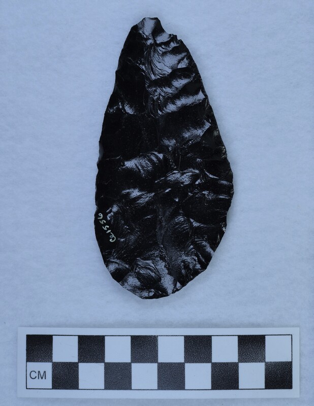Percussion shaped flake