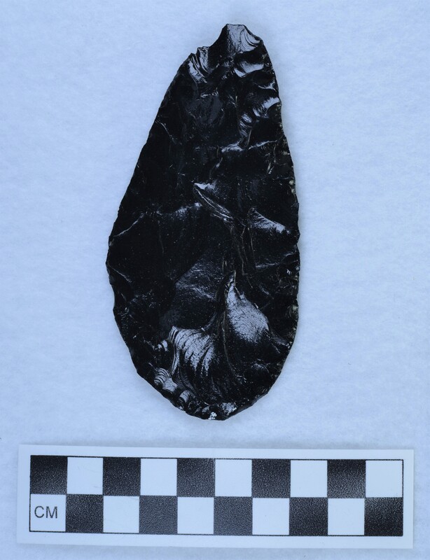 Percussion shaped flake