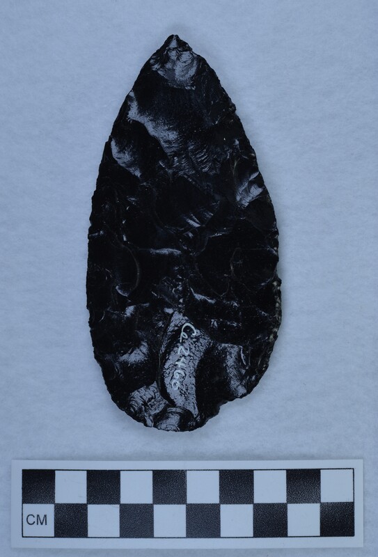 Soft hammer percussor