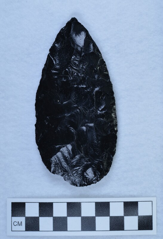 Soft hammer percussor