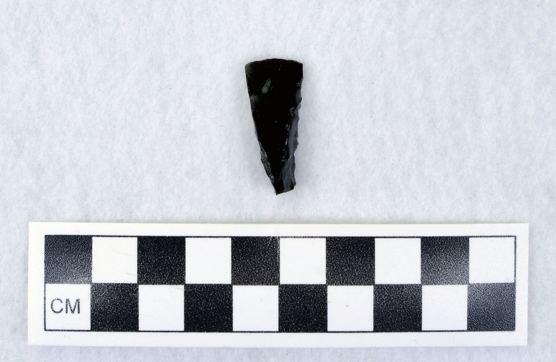 West Mexican incisor