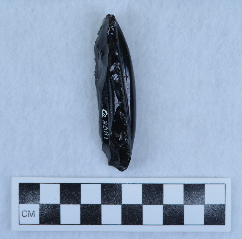 Distal end of large percussion flake, Terminates in a hinge fracture. Altered to be used as a gouge. From the Crabtree debitage pile. (JW)