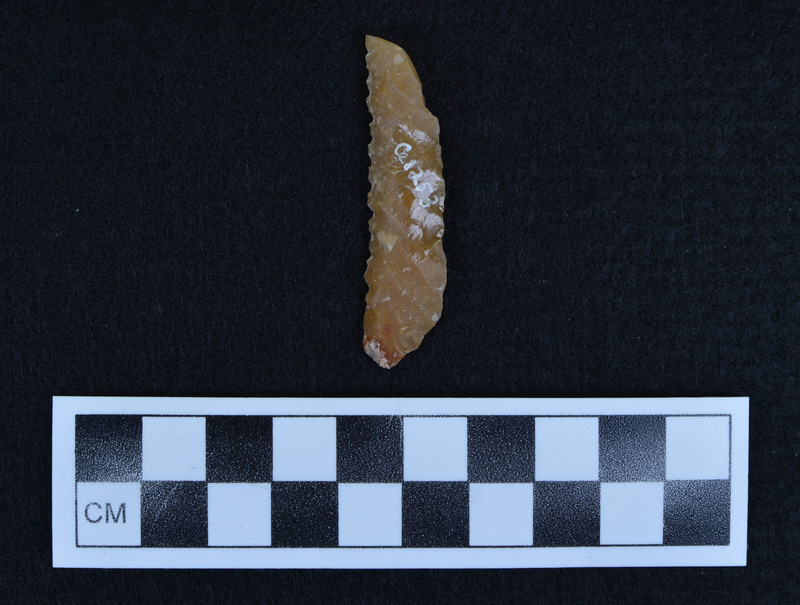 Burinated distal end, serrated vented margin