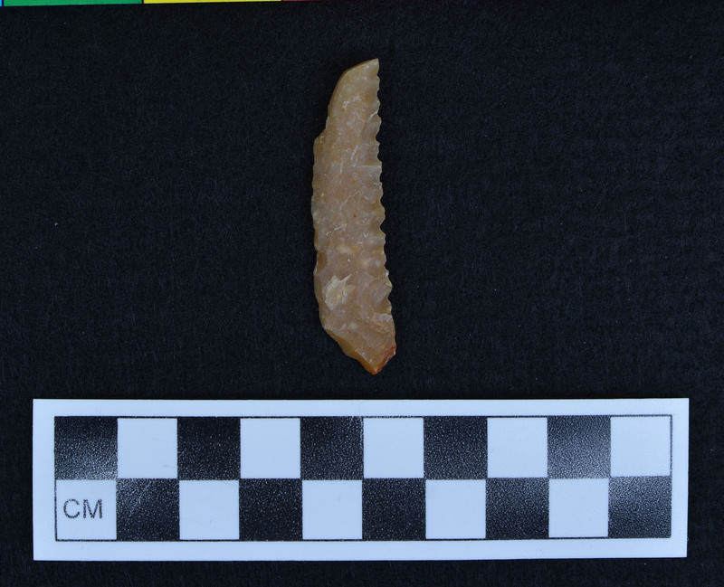 Burinated distal end, serrated vented margin