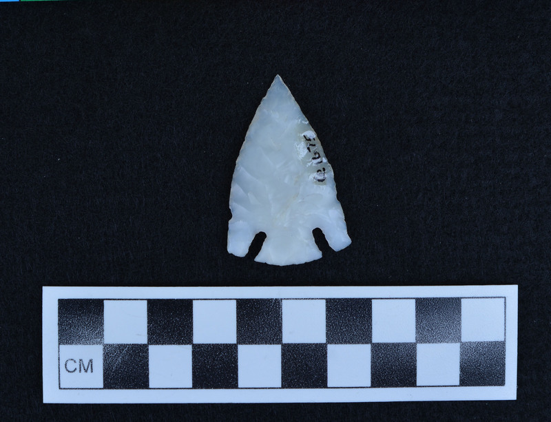 Heat treated, basal notched