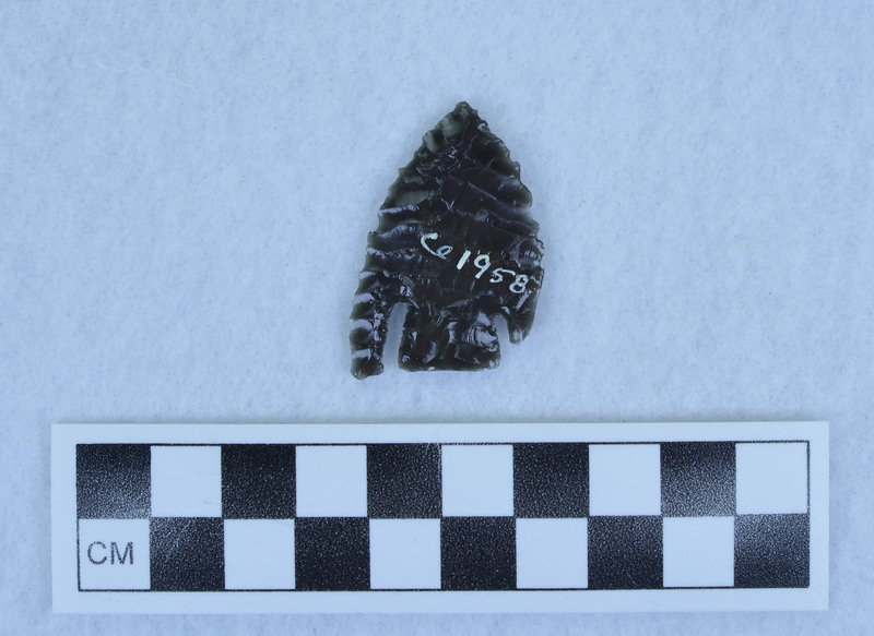 Basal notched, one ear broken