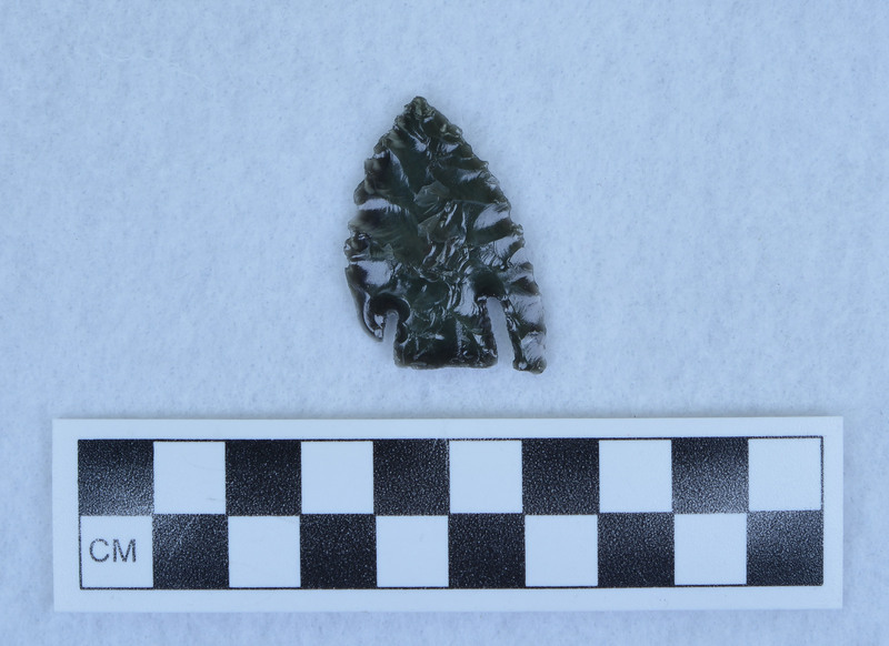 Basal notched, one ear broken