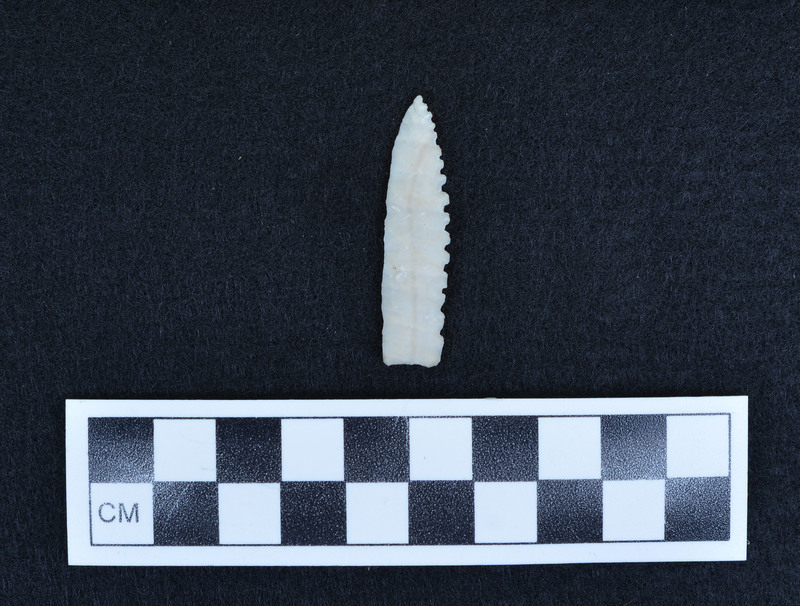 Parallel flaked, one edge serrated