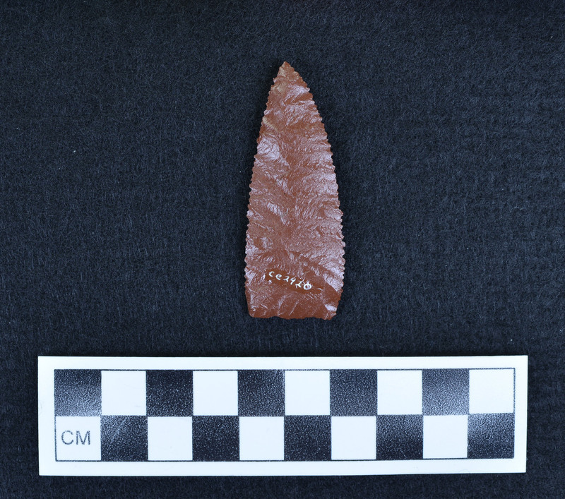 Parallel diagonal flaking, minute serrations