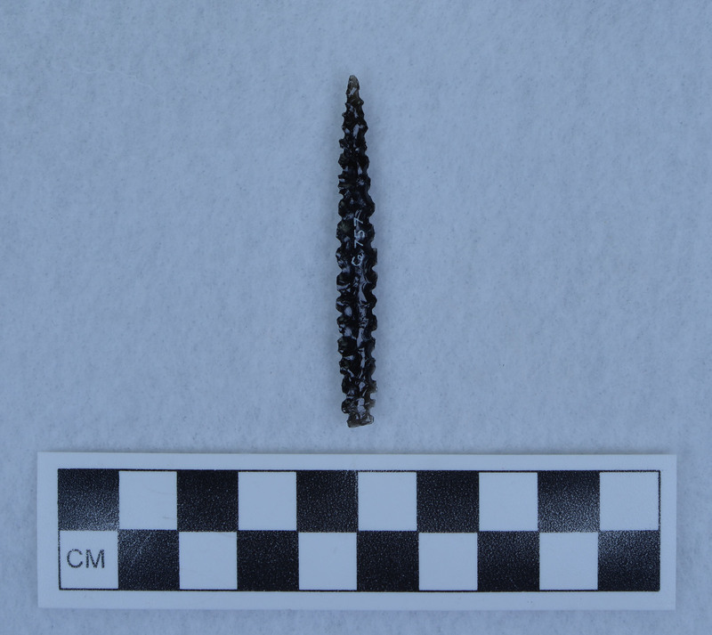 Serrated, lanceolate, pressure flaked