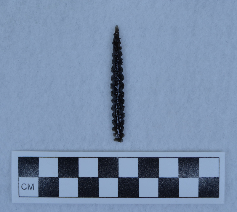 Serrated, lanceolate, pressure flaked