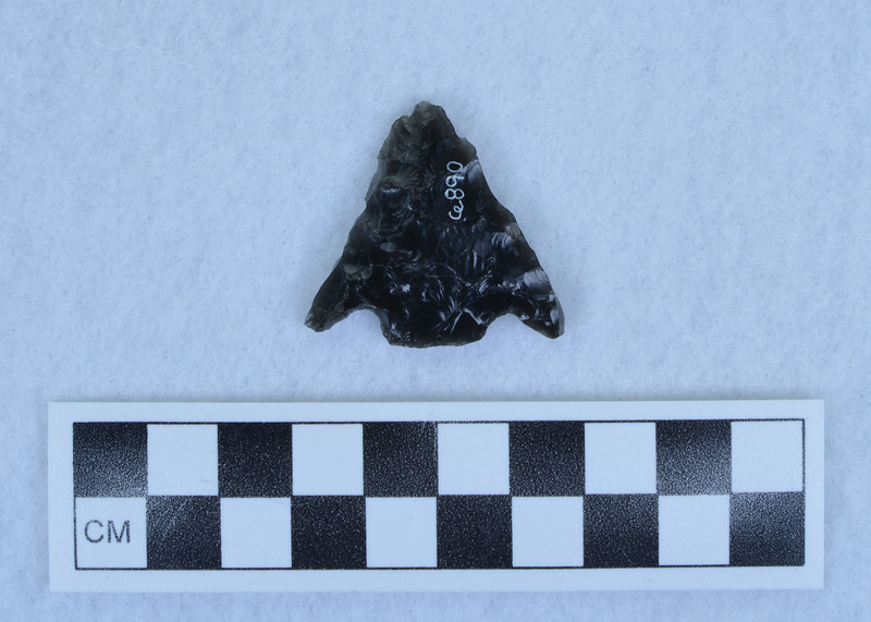 Basal notched, burinated margins