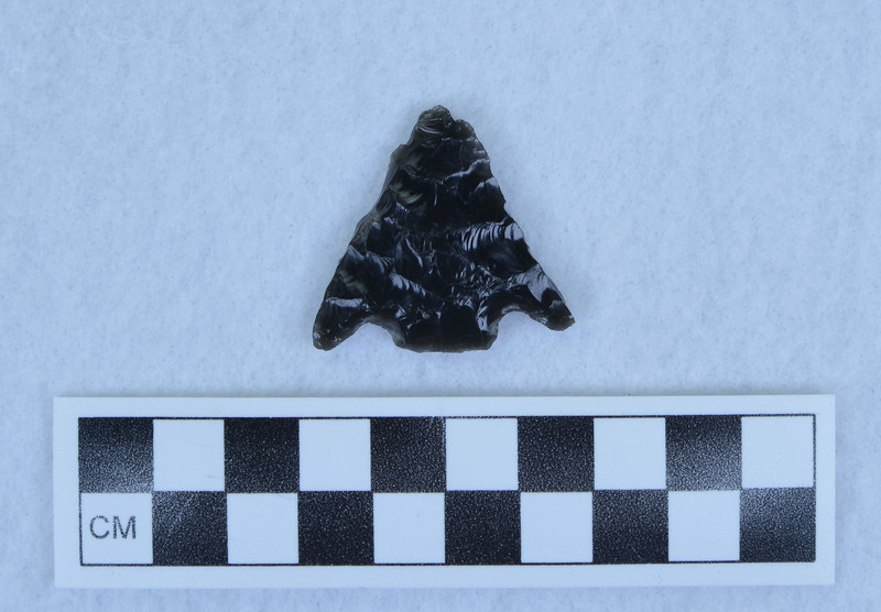 Basal notched, burinated margins