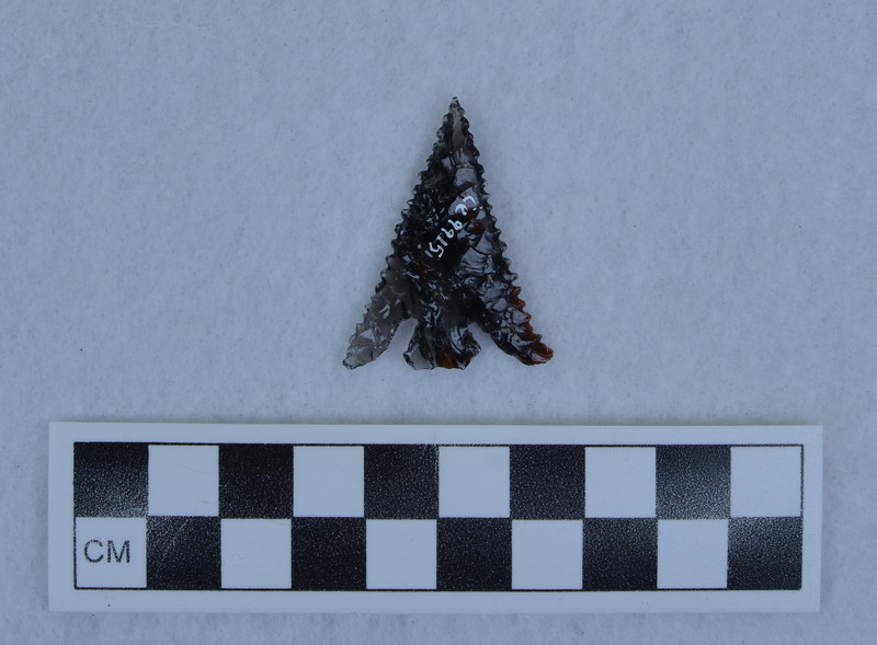 Basal notched, serrated, Titmus flaking