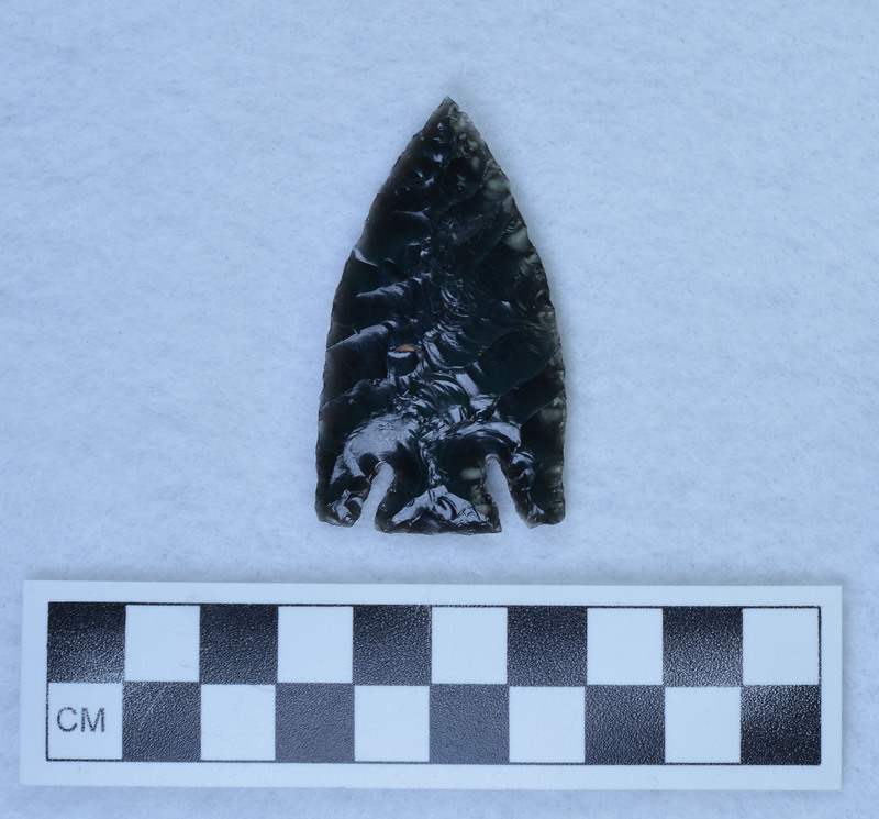 Basal notched, Titmus technique