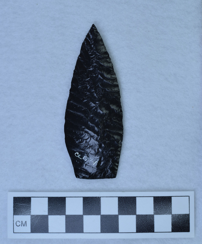 Ground basal margins