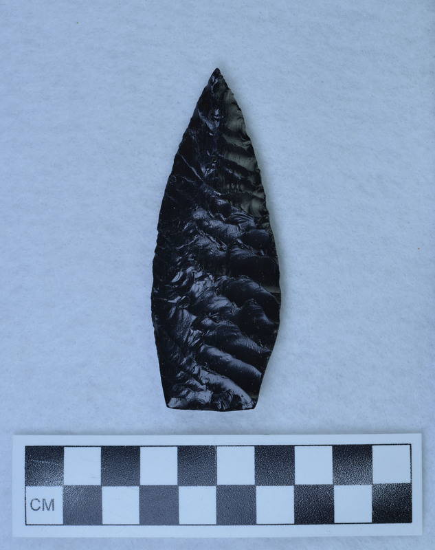 Ground basal margins