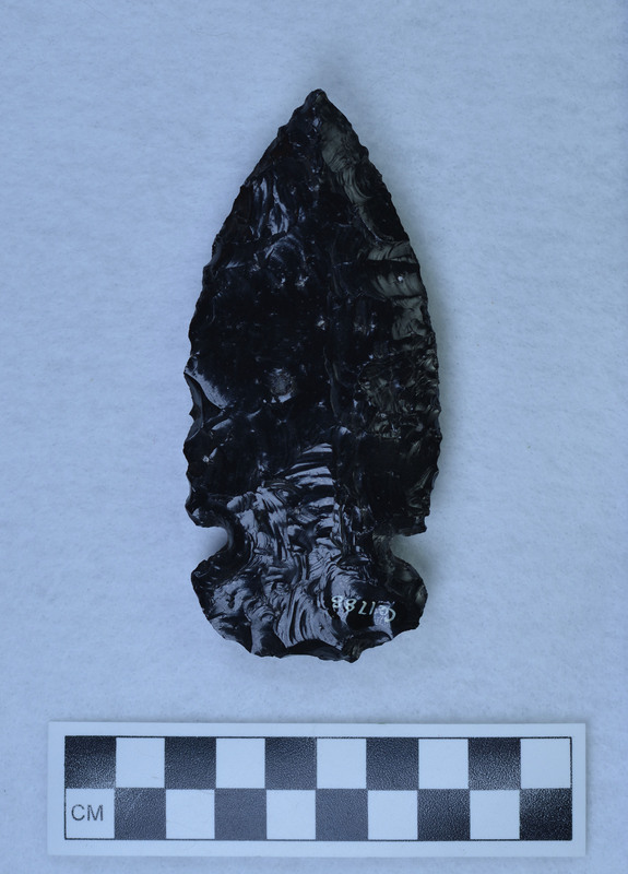 Large, side notched point