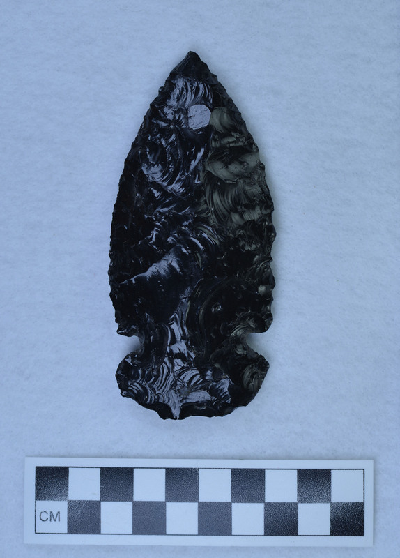 Large, side notched point