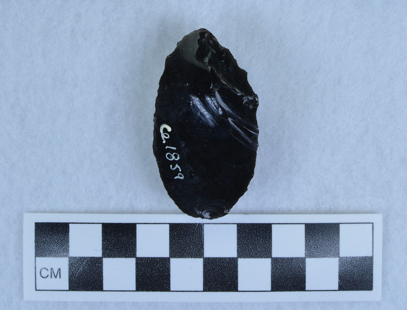 Hump-backed, unifacially flaked