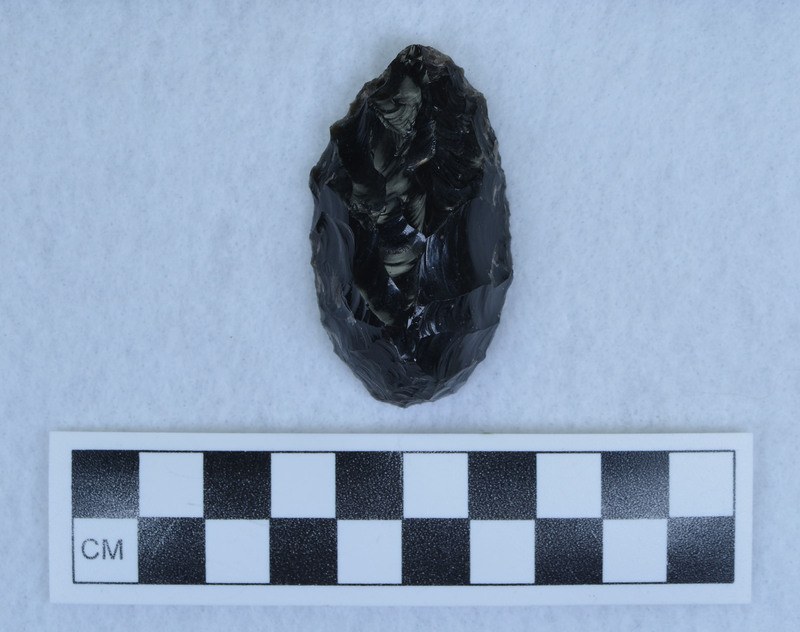 Hump-backed, unifacially flaked