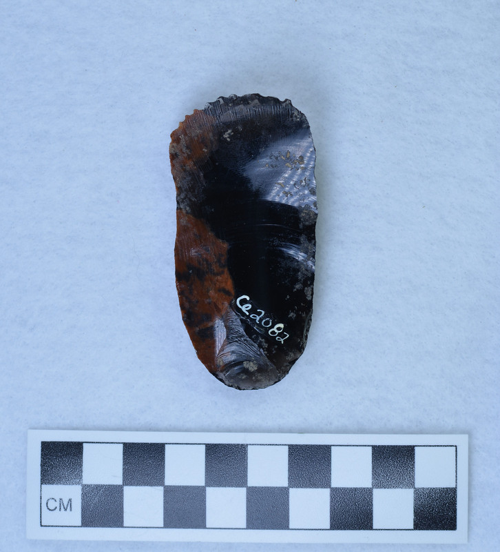 Unifacial scraper/knife combination