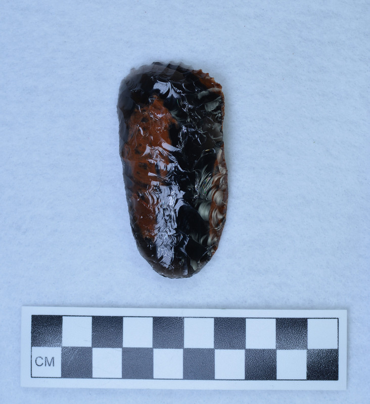 Unifacial scraper/knife combination