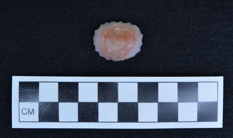 Pressure flaked, heat treated with a prepared platform