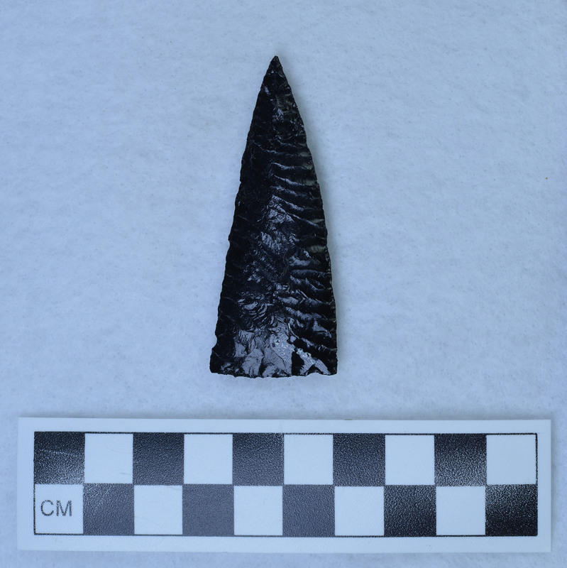 Parallel diagonal flaking to midline