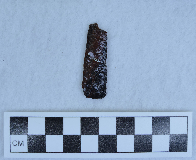 Parallel diagonal flaking. Similar to lanceolate points found in hills south of Twin Falls. (GT)