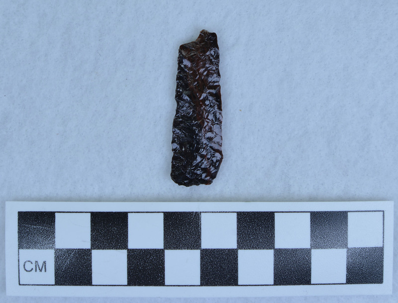 Parallel diagonal flaking. Similar to lanceolate points found in hills south of Twin Falls. (GT)