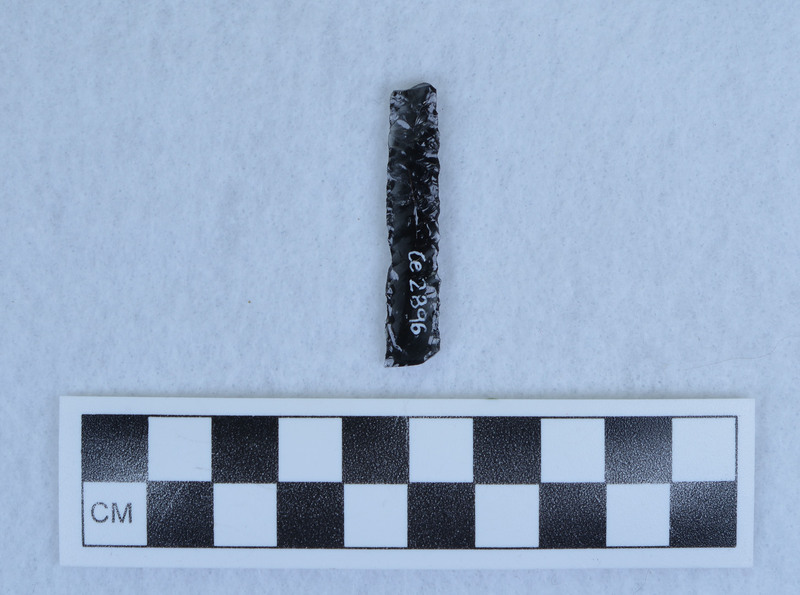 Pressure blade, parallel diagonally flaked