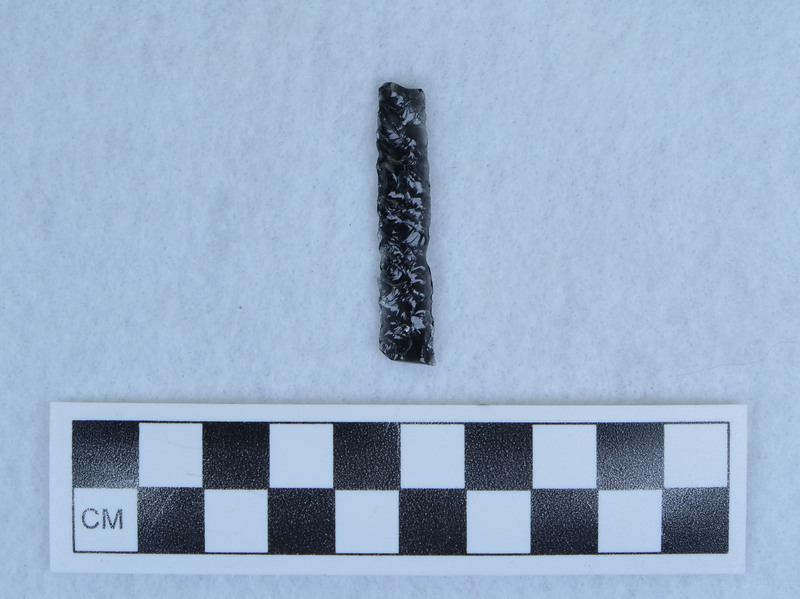 Pressure blade, parallel diagonally flaked