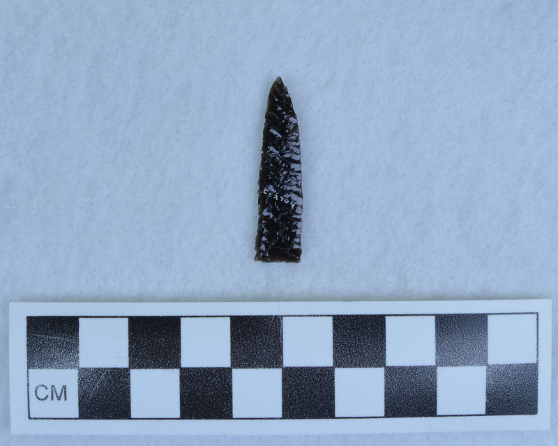 Very narrow parallel diagonal flaking